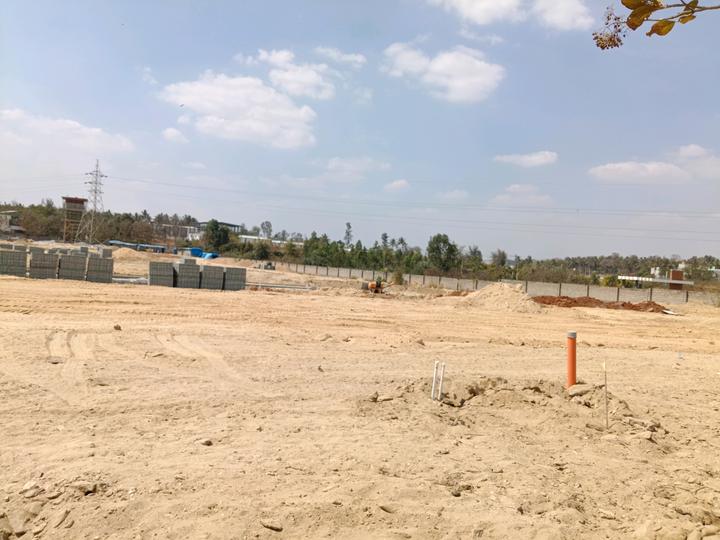 Bloomfields Main Image 1