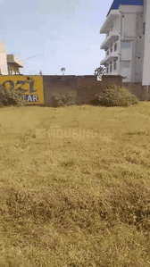 Daladili Plot View 2