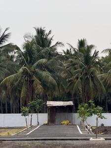 Image of 702 Sq.ft Residential Plot / Land for sale in Teachers Colony, Coimbatore for Rs. 1425000