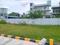 Diamond Creek Plot View 2