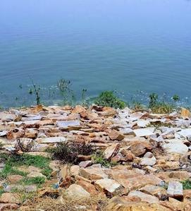 Vatika Plot View 1