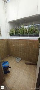 Balcony Image of 1500 Sq.ft 2 BHK Apartment / Flat for sale in Ayodhya Bypass Bhopal for Rs. 3500000