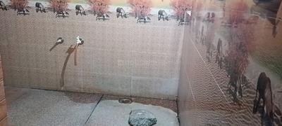 2 BHK Independent Builder Floor
