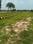Garden ganje Lucknow Main Image 1