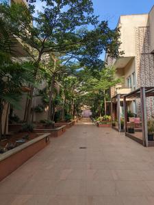 Image of 3108 Sq.ft 3.5 BHK Duplex for sale in Wright The Grove, Carmelaram, Bengaluru for Rs. 45000000