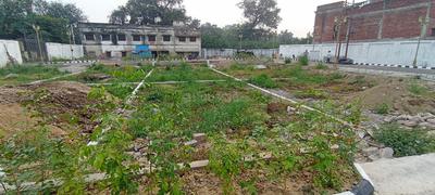 Imperial Aishbagh Gardens Plot View 3