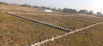Bihta Plot View 3