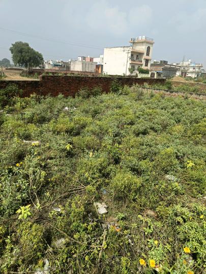 Maruti Kunj Main Image 1
