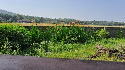 Image of 1500 Sq.ft Residential Plot / Land for sale in Chelakkara, Thrissur for Rs. 5000000