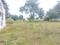 Adaar properties Main Image 1