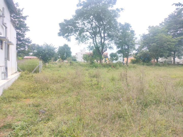 Adaar properties Main Image 1