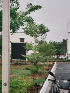 Image of 1600 Sq.ft 2 BHK Villa for sale in West Tambaram, Chennai for Rs. 15000000