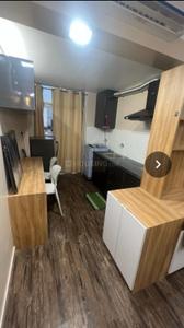 Kitchen Image of 438 Sq.ft 1 RK Apartment / Flat for rent in DLF Commanders Court, Egmore Chennai for Rs. 35000