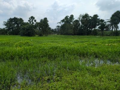 Image of 3600 Sq.ft Residential Plot / Land for sale in Joka, Kolkata for Rs. 750001