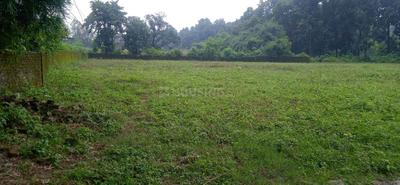 Living Room Image of 900 Sq.ft Residential Plot / Land for sale in Prem Nagar Dehradun for Rs. 1500000