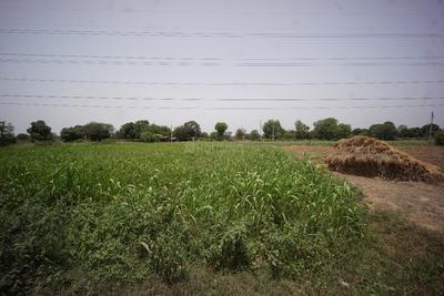 Image of 5233 Sq.ft Residential Plot / Land for sale in Dahegam, Gandhinagar for Rs. 23100000
