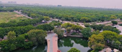 Balcony Image of 600 Sq.ft 1 BHK Apartment / Flat for rent in Vikram Golf View Condos, Sector 19 Dwarka New Delhi for Rs. 35000