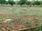 Surya City phase 2 Chandapura Plot View 2