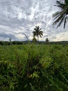 Image of 1169 Sq.ft Residential Plot / Land for sale in Hejjala, Bengaluru for Rs. 3500000