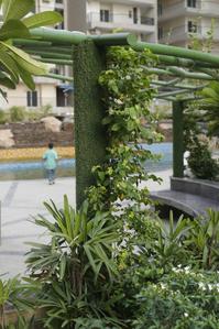 Image of 995 Sq.ft 2 BHK Apartment / Flat for sale in High End Windsor Paradise II, Raj Nagar Extension, Ghaziabad for Rs. 7200000