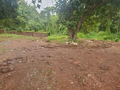 Image of 442 Sq.ft Residential Plot / Land for sale in Baingini, Goa for Rs. 22500000