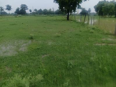 Image of 31725 Sq.ft Residential Plot / Land for sale in Chhataripur, Varanasi for Rs. 16500000