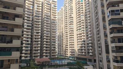 Image of 530 Sq.ft 1 BHK Apartment / Flat for rent in Gaurs 14th Avenue, Noida Extension, Greater Noida for Rs. 16500