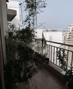 Image of 6160 Sq.ft 5 BHK Penthouse for sale in Adani Water Lily, Shantigram, Ahmedabad for Rs. 47500000