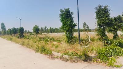 Residential Plot