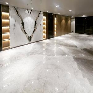 Hall Image of 4700 Sq.ft 9 BHK Villa for sale in Palam Vihar Gurgaon for Rs. 120000000
