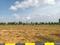 Nandiwanaparthy Plot View 2