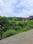 Dhaulas Plot View 2