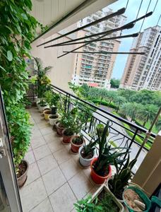 Balcony Image of 2364 Sq.ft 4 BHK Apartment / Flat for sale in DLF New Town Heights, Sector 91 Gurgaon for Rs. 35800000