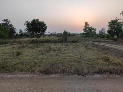Naubatpur Plot View 1