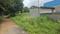 Thippasandra Plot View 2