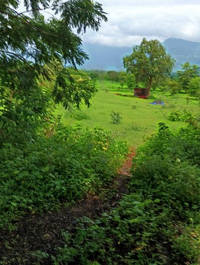 Shirgaon, Murbad Main Image 1