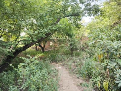 Image of 500 Sq.ft Residential Plot / Land for sale in Sigma 1, Greater Noida for Rs. 64900000