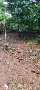 Image of 2601 Sq.ft Residential Plot / Land for sale in Thazhuthala, Kollam for Rs. 2250000