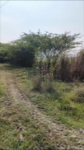 Image of 2086 Sq.ft Residential Plot / Land for sale in Chengalpattu, Chennai for Rs. 1500000