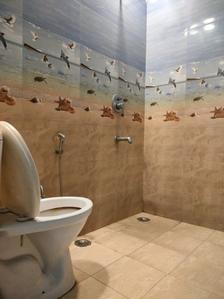 Common Bathroom Image of 900 Sq.ft 2 BHK Apartment / Flat for sale in Civil Lines Gurgaon for Rs. 7000000