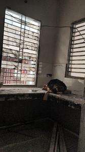 Kitchen Image of 720 Sq.ft 3 BHK Independent House for sale in Sector 105 Gurgaon for Rs. 11950000