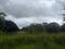 Telecom Green Field Gardens Main Image 1