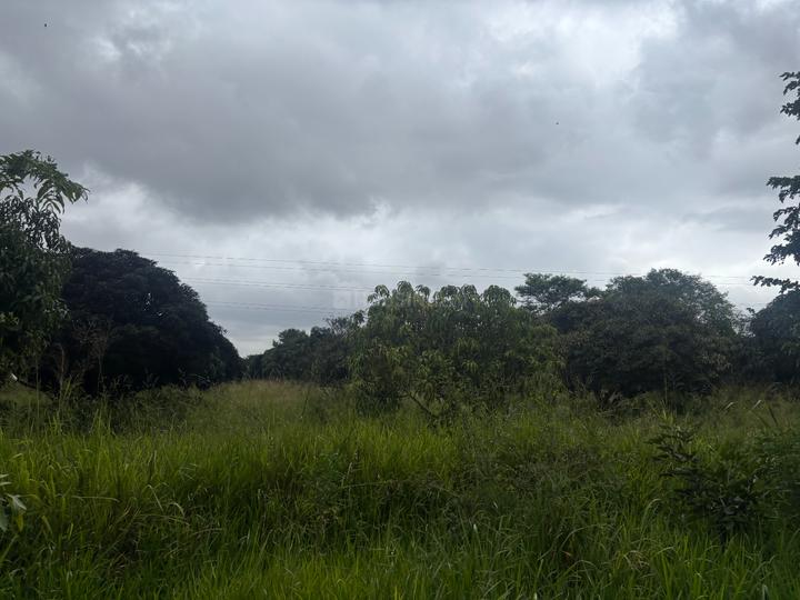 Danagalli Main Image 1