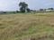 Dasna Plot View 2