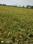 Arakkonam Main Image 1