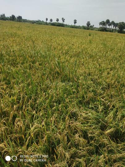 Arakkonam Main Image 1