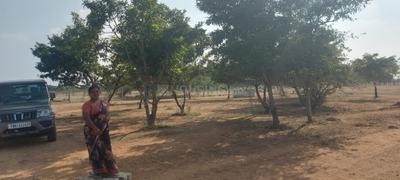 Image of 1200 Sq.ft Residential Plot / Land for sale in Sooriyur, Tiruchirappalli for Rs. 480000