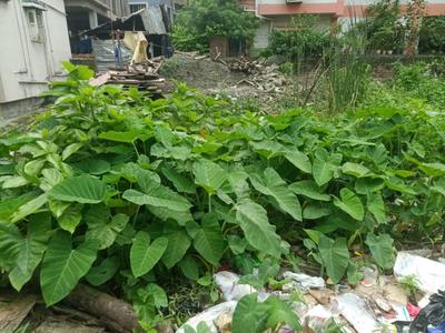 Image of 1080 Sq.ft Residential Plot / Land for sale in Keshtopur, Kolkata for Rs. 6200000