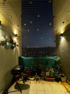 Hall Image of 1200 Sq.ft 2 BHK Apartment / Flat for sale in Marvel Ideal Spacio Phase 1, Pisoli Pune for Rs. 7800000