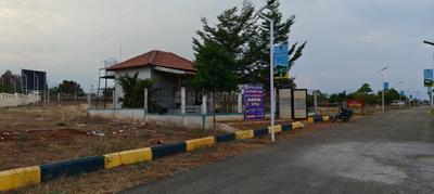 Annur Plot View 3